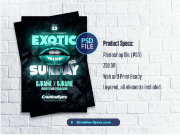 Exotic Party Flyer (3) Night club Party Flyer