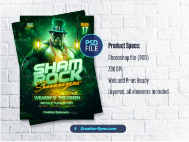 St. Patrick’s Day Party Flyer (3) St. Patrick’s Party Flyer