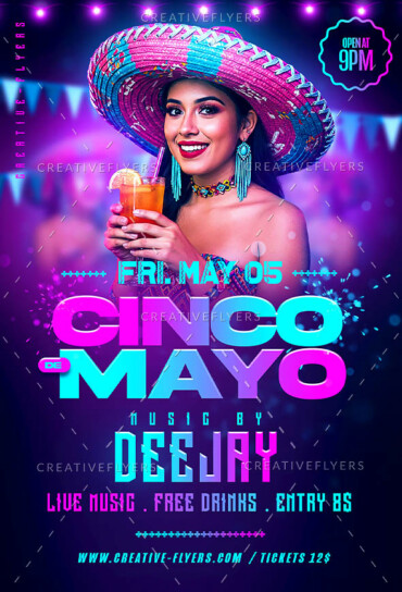 cinco de mayo illustration